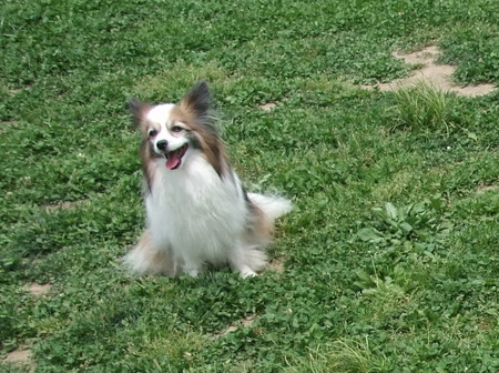 09050402.jpg